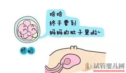 带你提前了解几代试管婴儿的费用(图4)