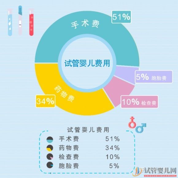 河源试管婴儿一次性包成功需要花费多少钱(图1)