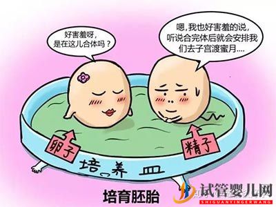 做试管婴儿流程最全讲解(图2)