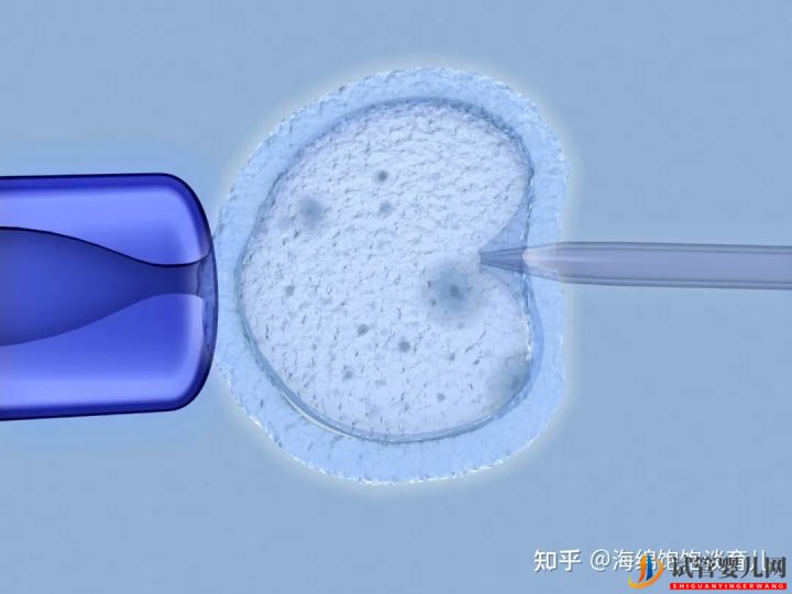 试管婴儿1代、2代、3代、4代哪个最好(图3)