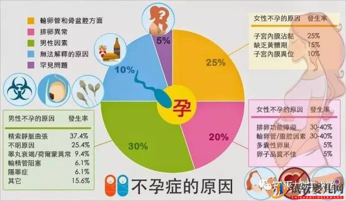 试管婴儿的一个基本流程和周期时间(图6)