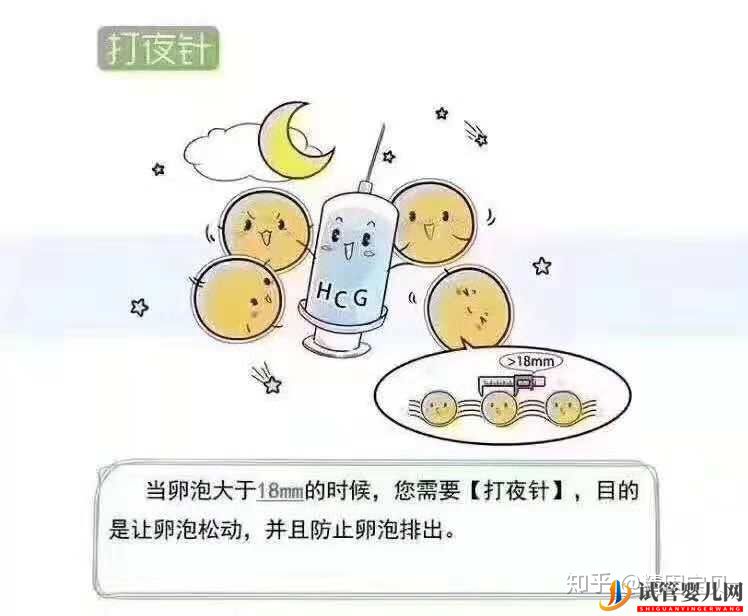 试管婴儿流程图,拿走不谢(图3)