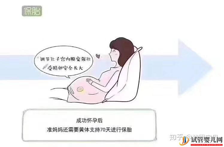 试管婴儿流程图,拿走不谢(图8)