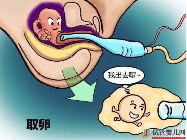 试管婴儿详细流程 建议收藏(图3)