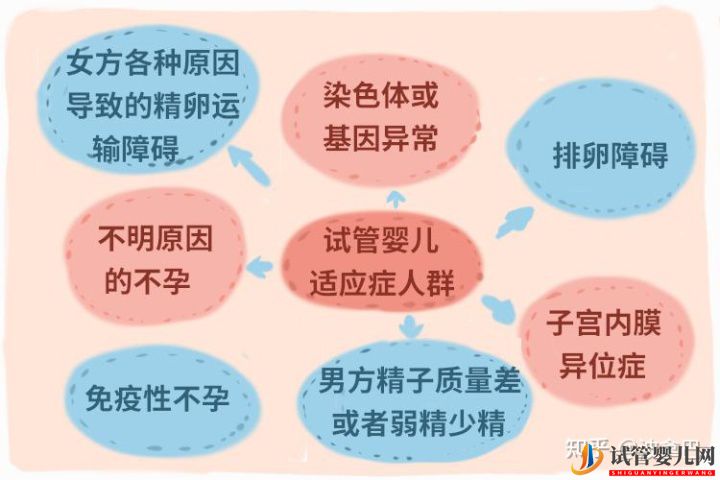 试管婴儿怎么做的全过程_什么是第三代试管婴儿(图6)