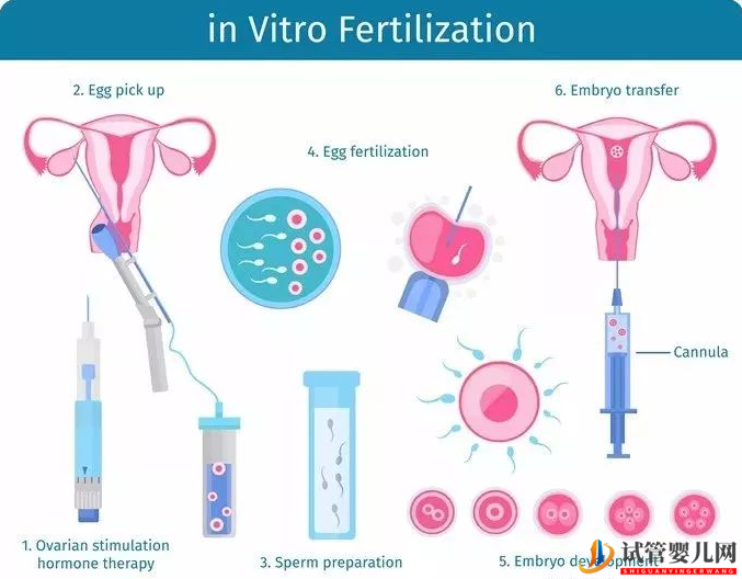 白城做试管婴儿一个周期大概需要多久(图1)