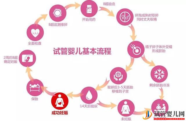 俄罗斯试管婴儿的详细过程是怎样的，6个步骤解释清楚(图1)