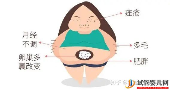 试管婴儿必查项目性激素六项报告数值逐个(图8)