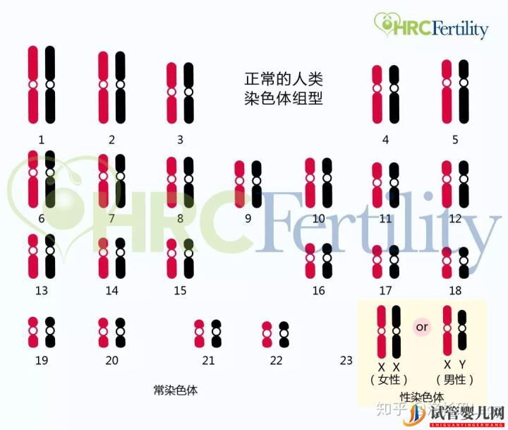 为什么选择美国试管婴儿_美国试管婴儿到底有哪些优势(图2)