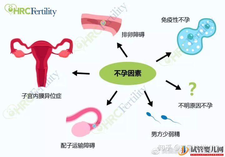 原来美国试管是这样的美国试管(图3)