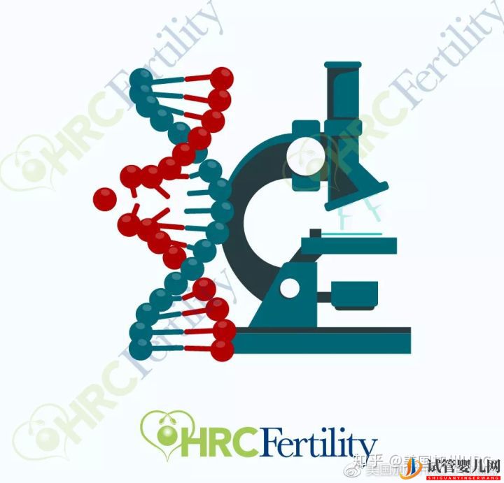 原来美国试管是这样的美国试管(图8)