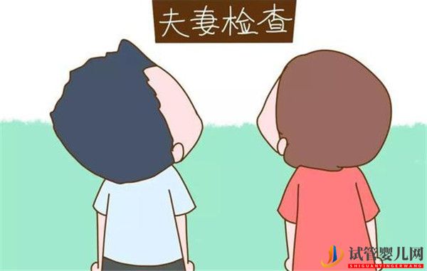 赴俄罗斯做试管婴儿前需要注意什么(图1)