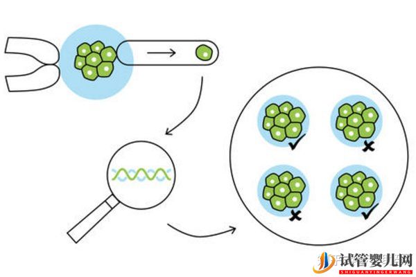 美国第三代试管婴儿费用是多少,成功率多高(图5)