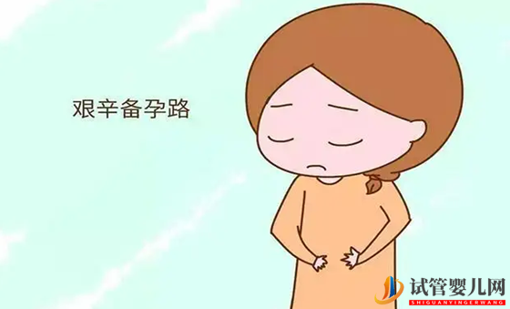 高龄女性助孕策略(图2)