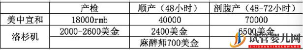 我在美国生娃 费用及全纪录(图4)