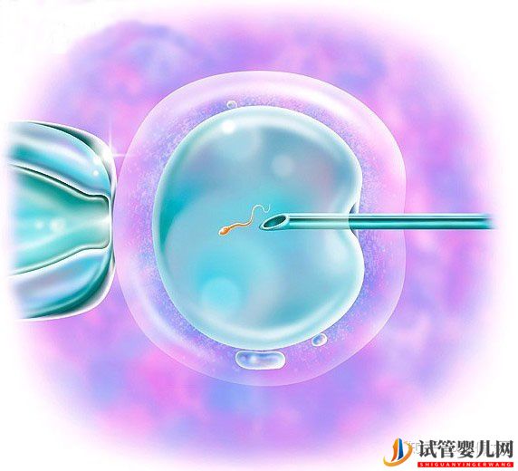 国内第三代试管婴儿移植前后,这些激素值很重要!(图3)