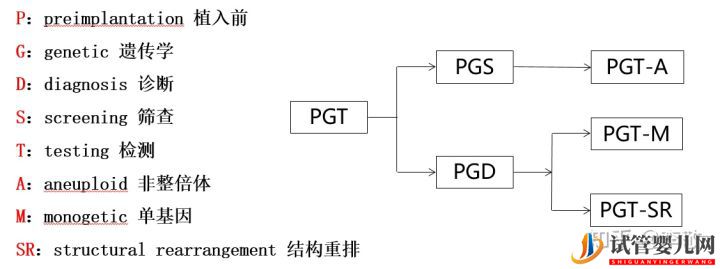 三代试管婴儿那些事儿(图1)