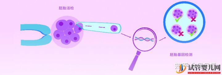 第三代试管可以筛选哪些遗传病,第三代试管能避免遗(图3)