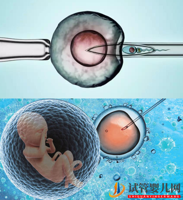 第三代试管婴儿的利弊有哪些？(图1)