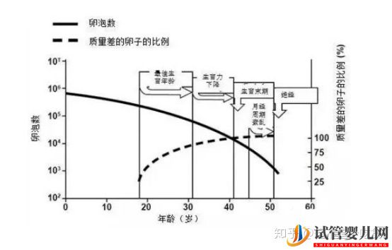 第三代试管婴儿完美解决染色体异常(图4)