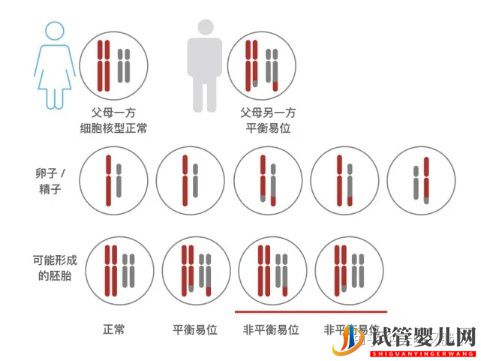 夫妻染色体没问题,为什么胚胎染色体异常就有问题(图1)