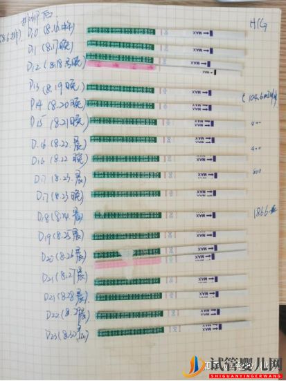 一个15年多囊老患者的自然怀孕经历(图5)