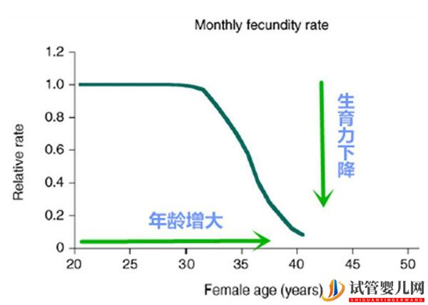 高龄女性对试管婴儿成功率有哪些影响_如何提高女性卵子质量(图1)