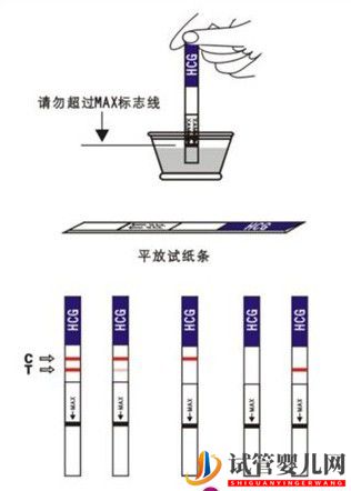 怀孕几天能测出来(图1)