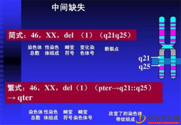 哪些遗传性疾病可以通过三代试管技术PGD_PGS筛查(图1)