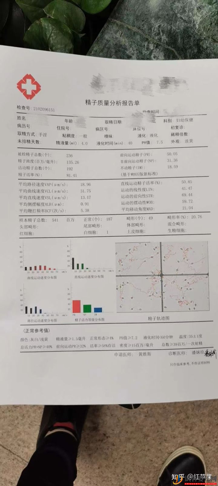 33岁三代试管婴儿一次成功,试管婴儿流程分享(图6)