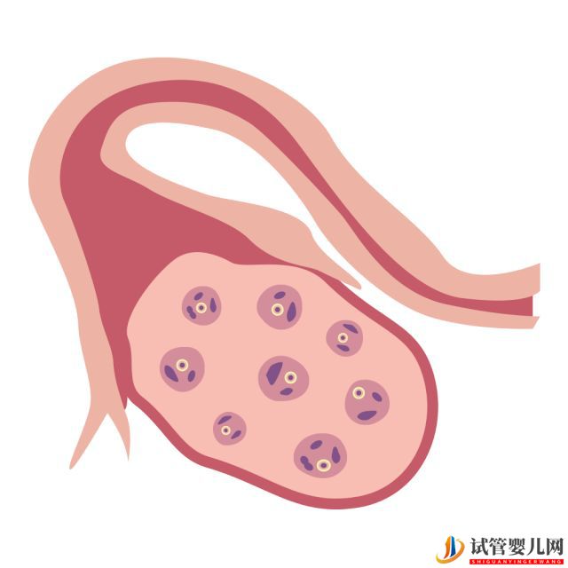 40多了,怀孕的几率还有多少_做供卵试管几率又是多(图2)