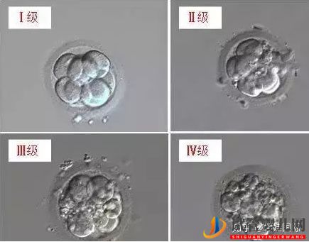 44岁人工授精成功率有多少_做到这3点,好孕找上门(图3)