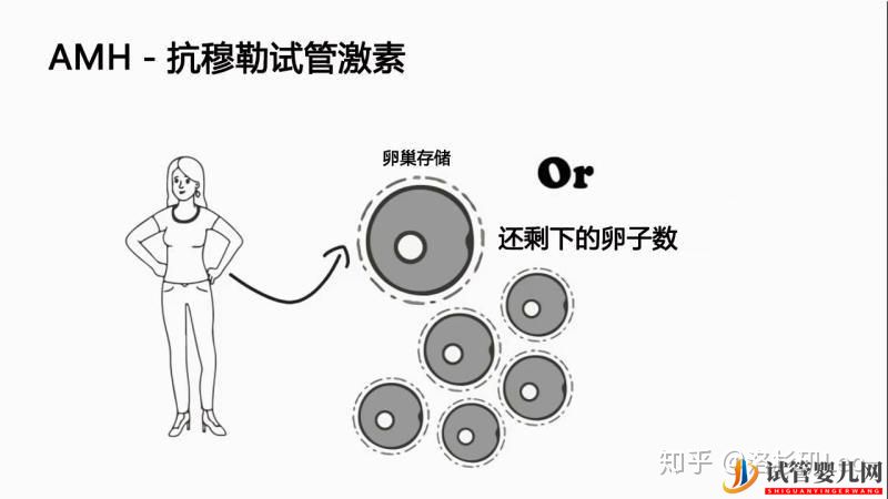 大龄做试管还有机会吗_美国试管大龄女性必须了解的(图1)