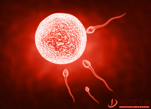 amh值低与试管成功率，47岁做试管成功率多少(图1)
