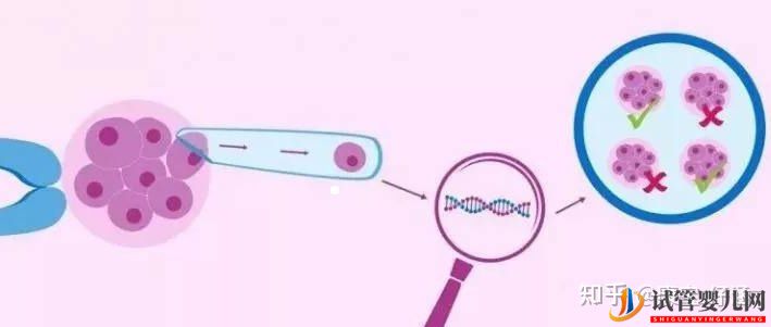 通俗易懂的一、二、三代试管婴儿解说,及三代试管能...(图3)