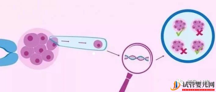 通俗易懂的一、二、三代试管婴儿解说,及三代试管能...(图4)
