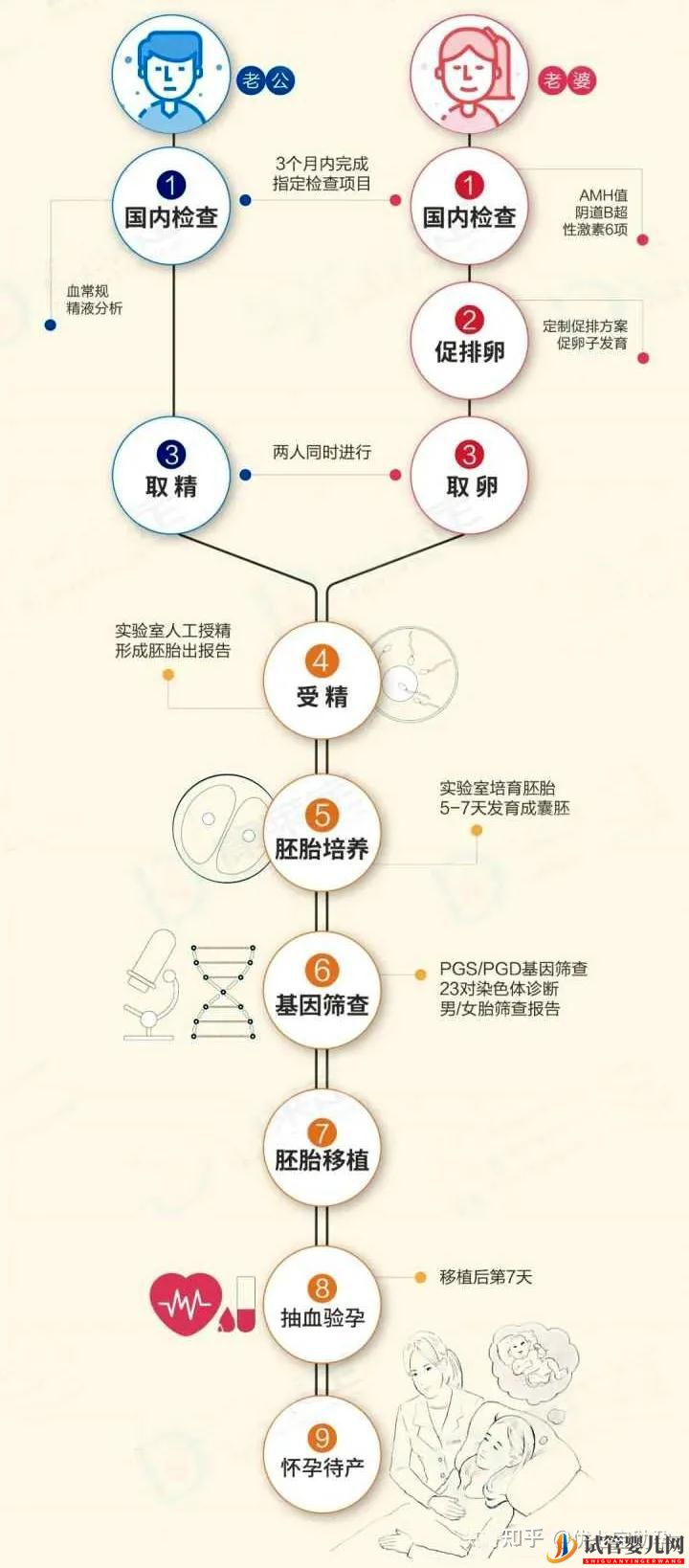 全面解析第三代试管婴儿的科普知识(图7)