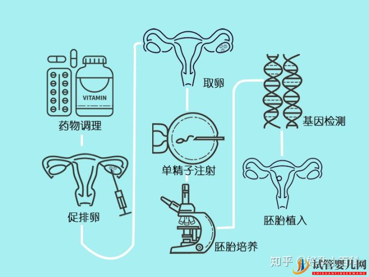 什么是三代试管婴儿第三代试管婴儿成功率高(图6)