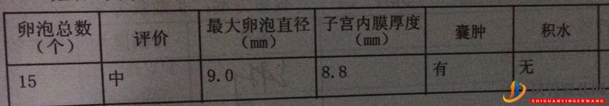 试管妈妈都有血泪史,但我已经很幸运,三代超快速(图5)