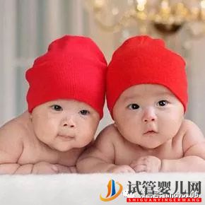 你喜欢哪对双胞胎小孩？测你的孩子将来会有出息吗？(图2)