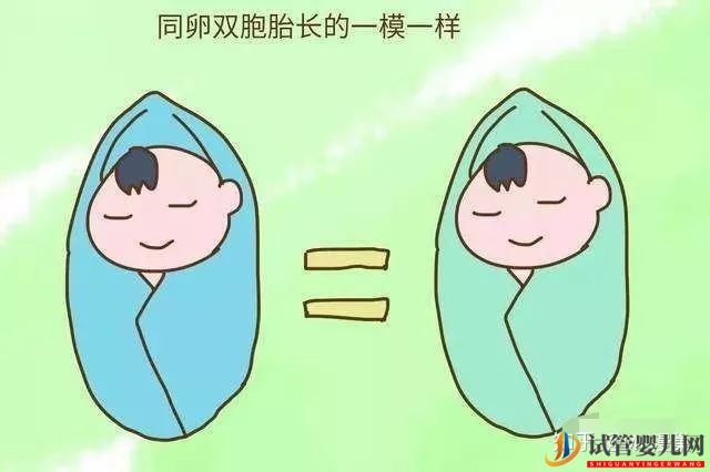 试管生双胞胎后悔了通过试管婴儿生下的双胞胎长得...(图2)