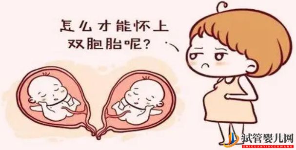 试管婴儿可以生双胞胎,成功率如何(图1)