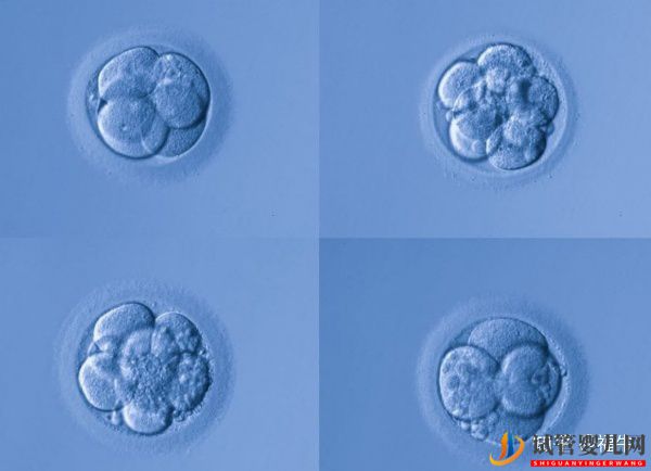 美国HRC试管专家解析三代试管婴儿技术的优缺点(图3)