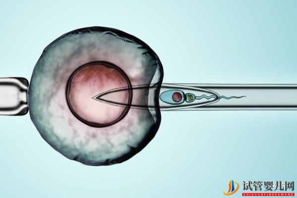 美国HRC试管专家解析三代试管婴儿技术的优缺点(图4)