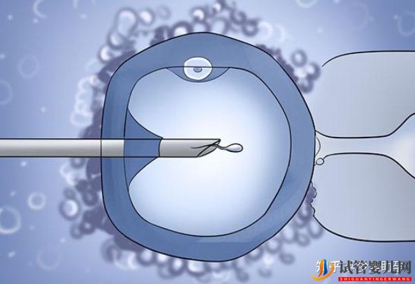 赴美试管婴儿整个过程需要多长时间(图6)
