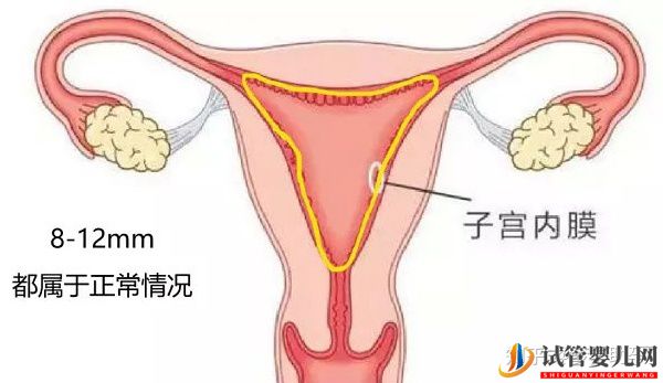 患有纵膈子宫赴美做试管能妊娠吗(图5)