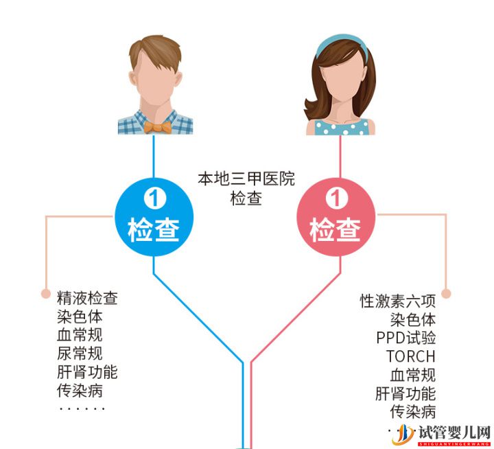 泰国试管婴儿优势性价比再高,成功率却离不开这(图3)