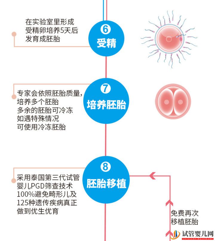 泰国试管婴儿优势性价比再高,成功率却离不开这(图5)