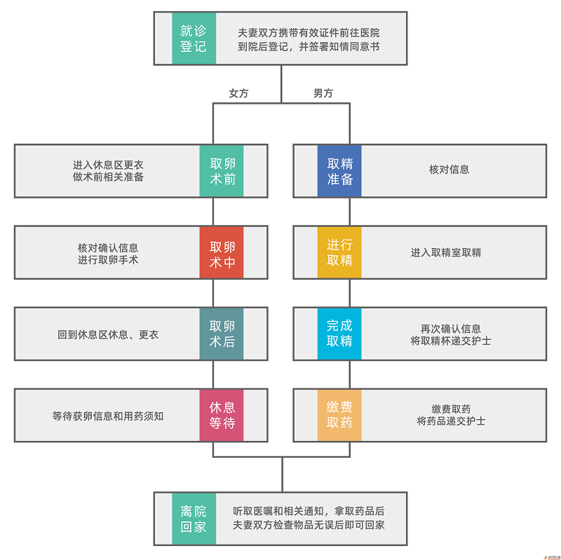 第一次取卵没经验？一张图告诉你试管婴儿取卵全流程！(图2)