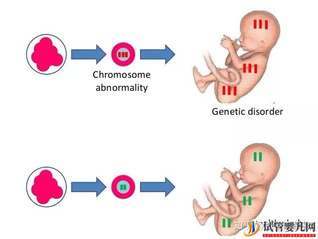 “传男不传女”的不一定是宝贝还有可能是遗传疾病(图4)